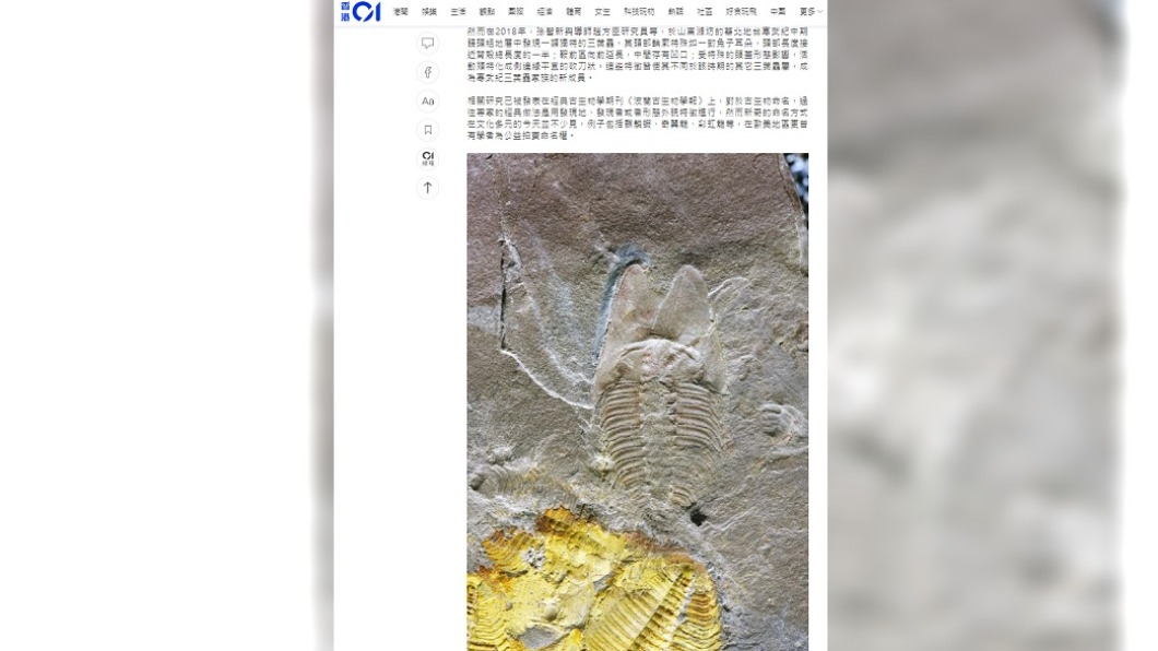 南京研究生與團隊發現獨特三葉蟲。(圖/翻攝自香港01)