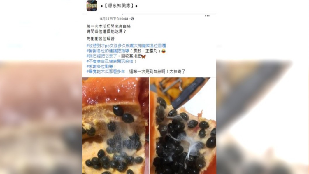 女子切開木瓜發現白色細絲。(圖/翻攝自臉書社團爆系知識家)