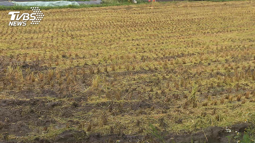 水情吃緊恐減量供水 經部超前部署盤點準備