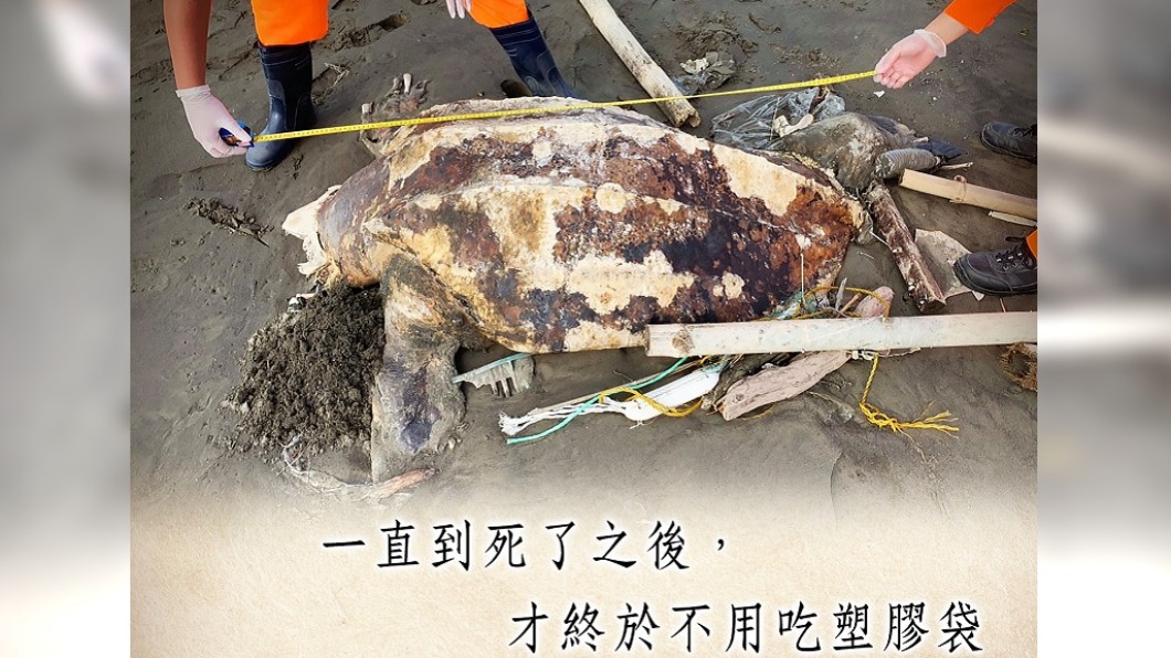 （圖／翻攝自海巡署長室 Coast Guard）