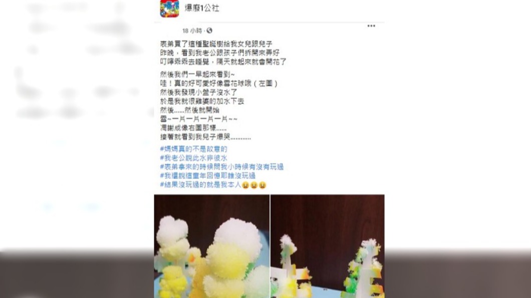 母親幫聖誕紙樹澆水。(圖/翻攝自臉書社團爆廢1公社)