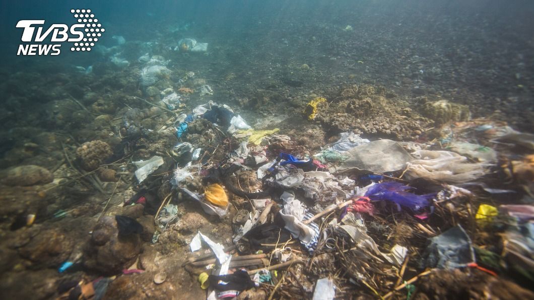 微塑膠毒害海洋生物後代 中研院發現死亡率增3倍