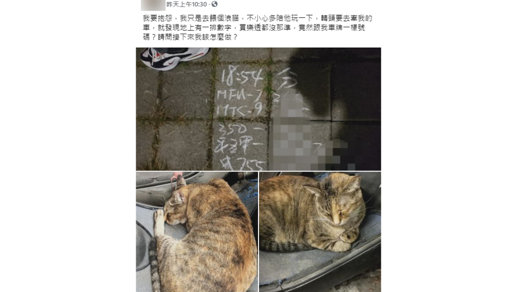男子因為「撸貓」太久，違停機車遭拖吊。（圖／翻攝自「爆怨2公社」）