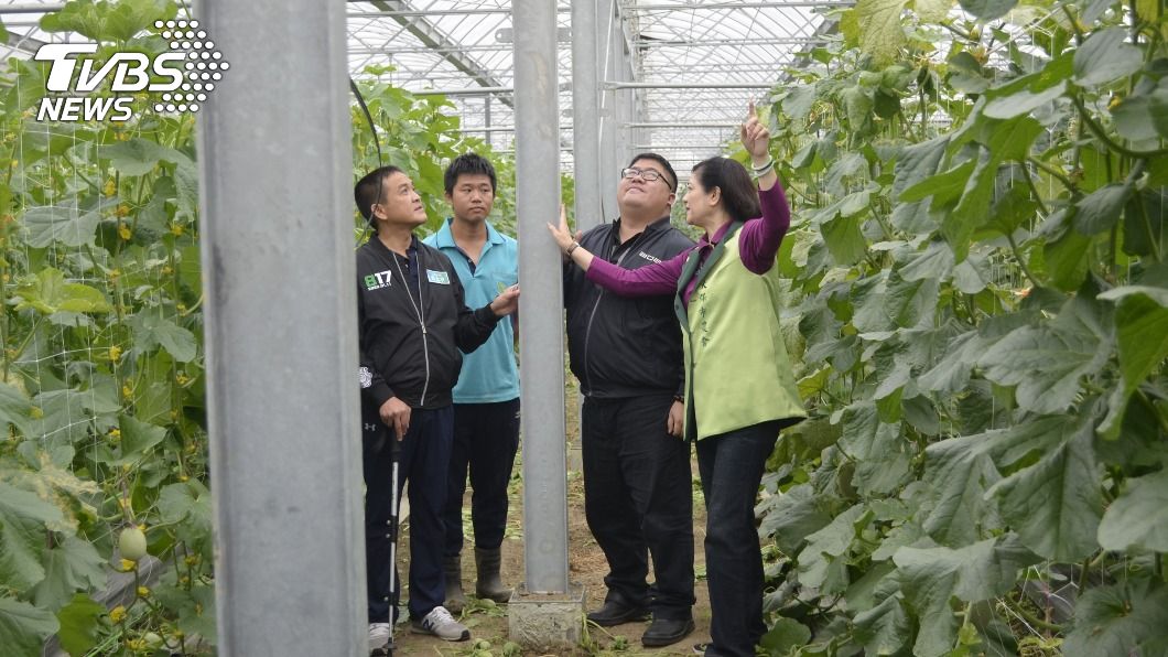 興建開放性溫網室 蔡易餘:農委會函文免建照