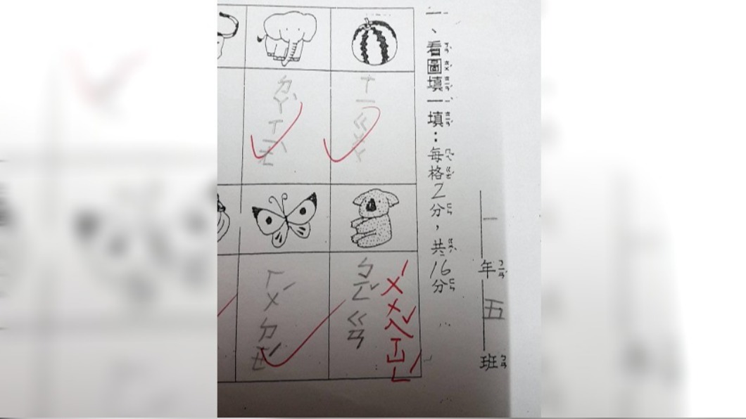 女童在無尾熊下回答餅乾。(圖/翻攝自臉書社團爆笑公社)
