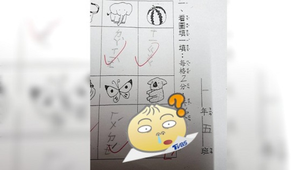 吃貨無誤!女童寫作業見無尾熊秒回「2字」網笑翻