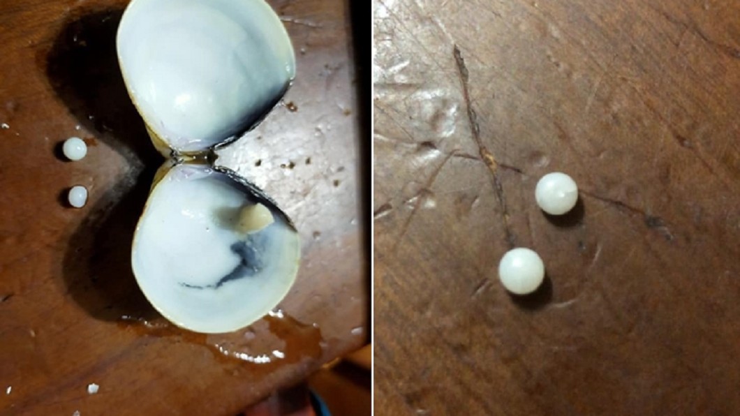 好市多蛤蜊驚見「2顆珍珠」!女一吃嗨翻 真相曝光崩潰