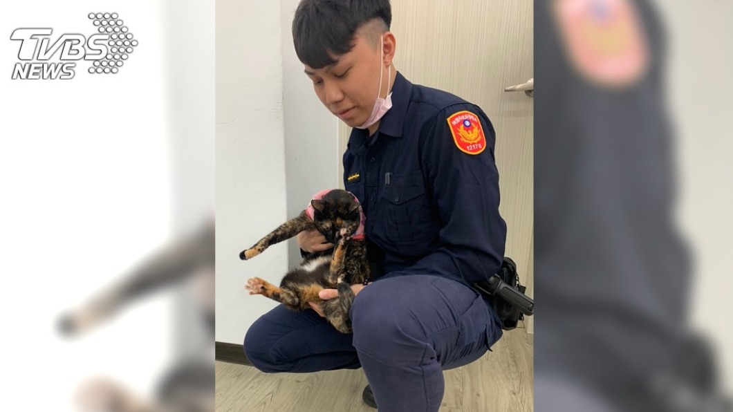 幼貓躺馬路險遭輾　暖警冒雨救援被讚爆：台灣最美風景