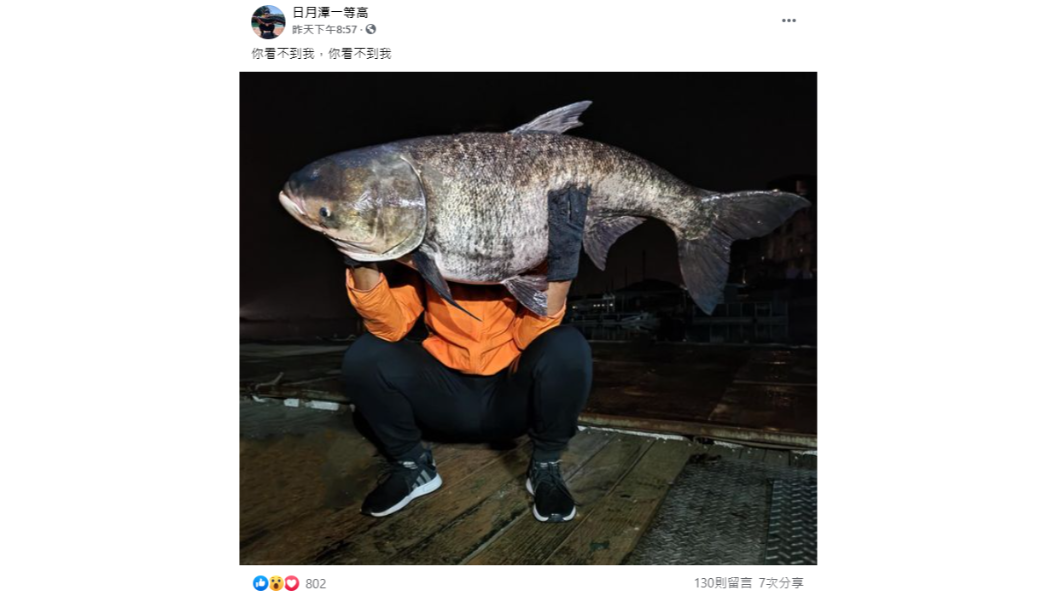 資深釣客與42台斤大頭鰱合照,上半身幾乎被遮擋。(圖/「日月潭一等高」授權提供)