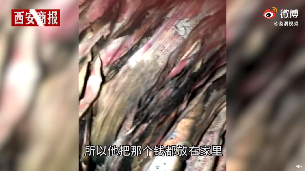 （圖／翻攝自漩渦視頻）