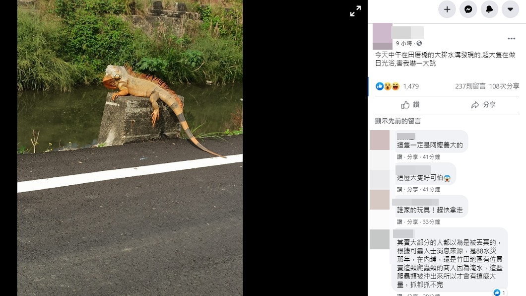 (圖/翻攝自屏東縣萬丹鄉交流地臉書)