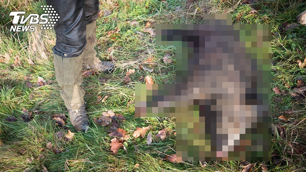 父開槍獵射殺鹿爽收戰績 「竟是兒子屍體」躺血泊亡
