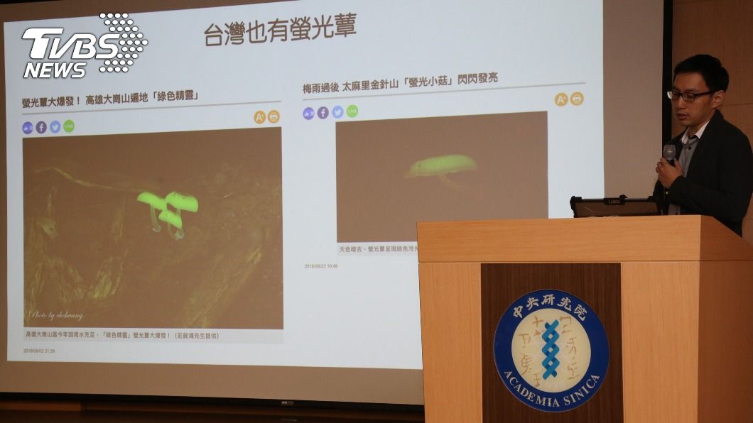 中研院用台灣菇解謎發光蕈類　論文登國際期刊封面
