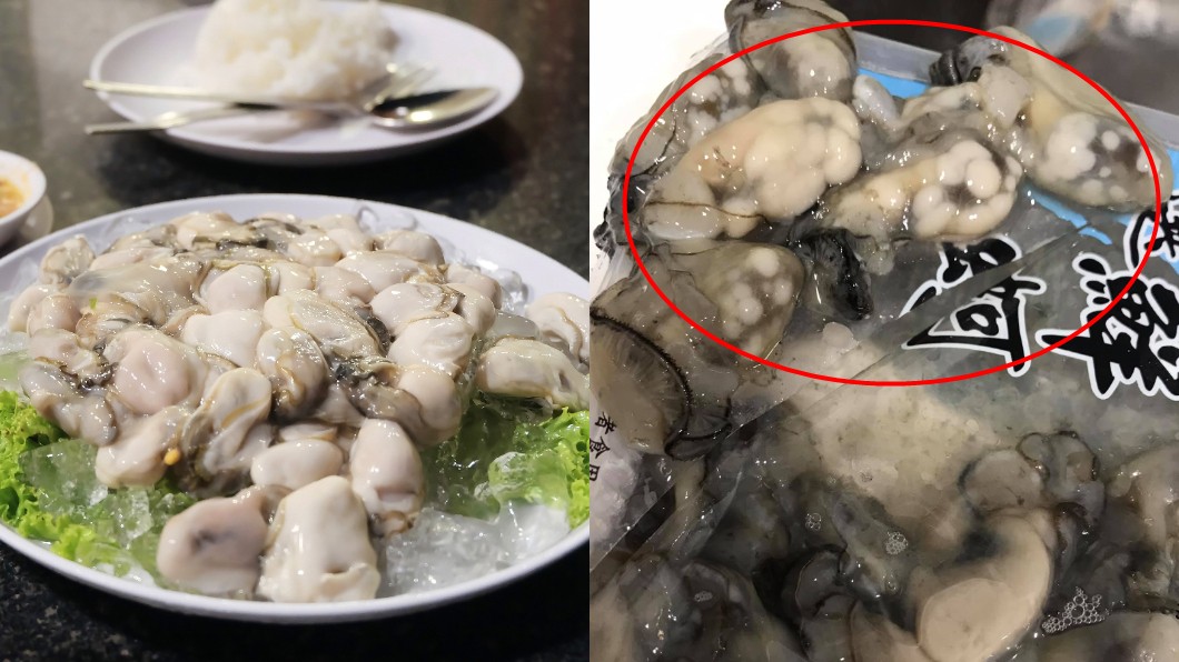 驚見蚵仔「爬滿腫瘤」反胃想吐 內行揭密:味道差很多