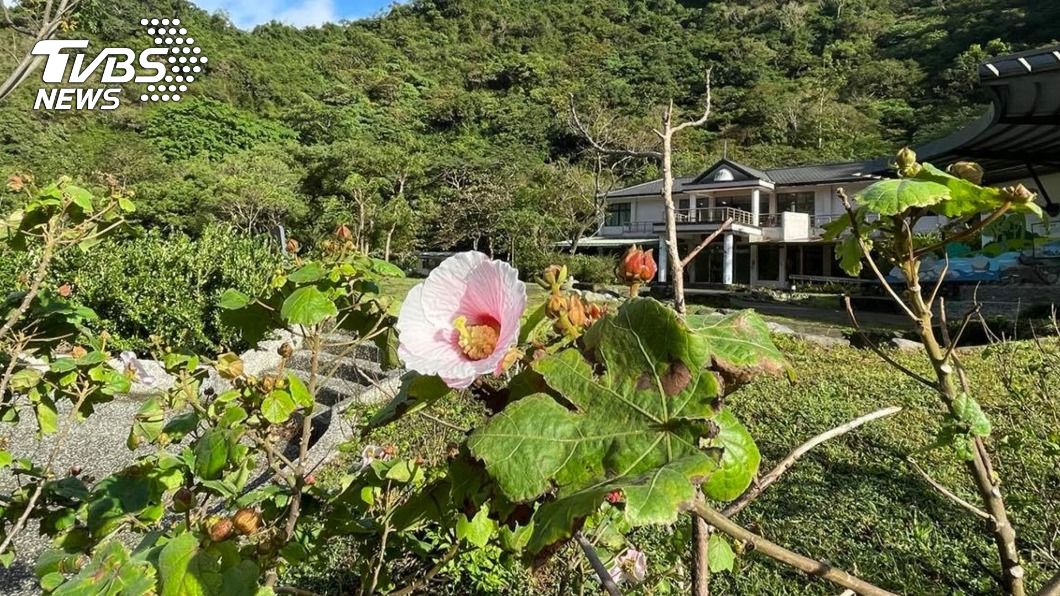 (圖/中央社)
