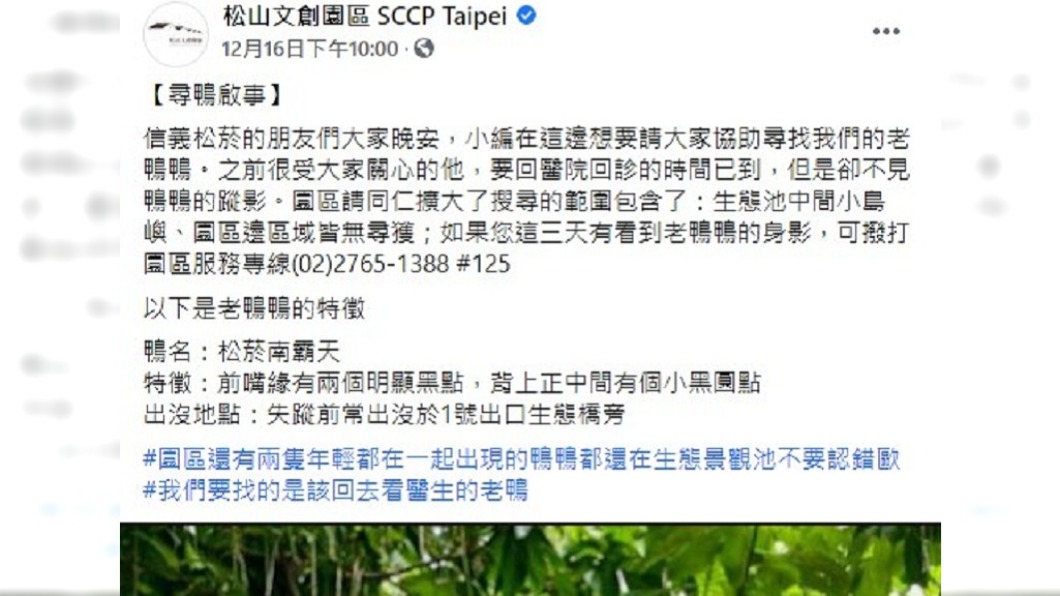 (圖/翻攝自松山文創園區臉書)