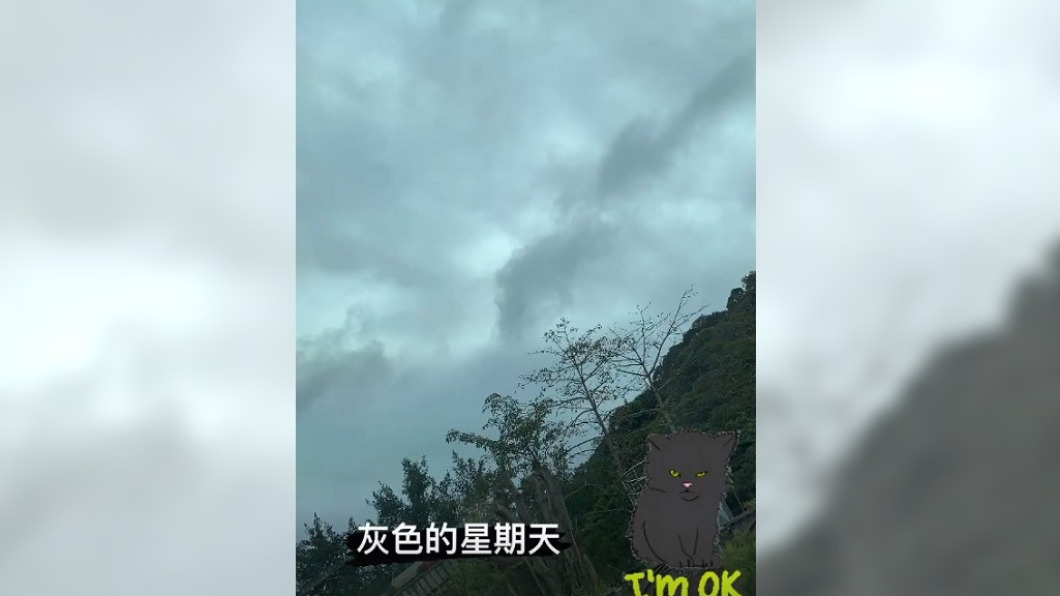 面對外界關心,謝金燕表示自己狀況還行。(圖/翻攝自謝金燕IG)
