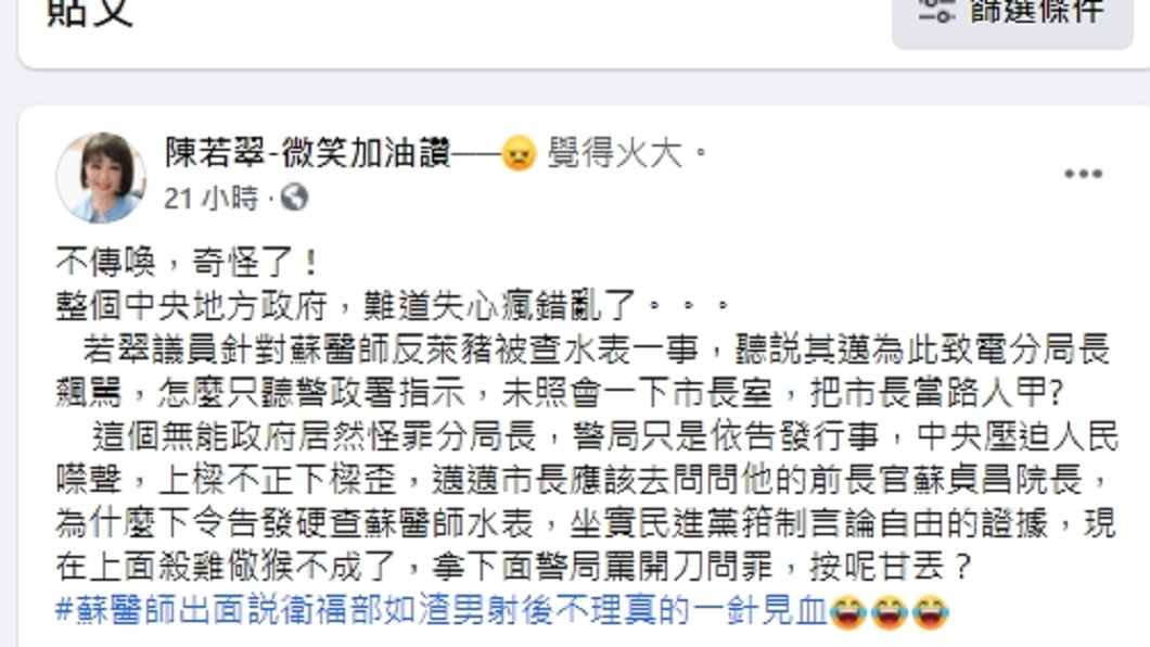 (圖/翻攝自陳若翠臉書)