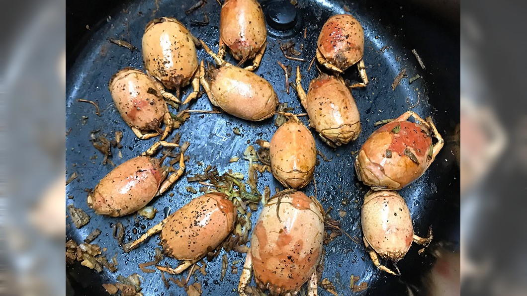 宵夜嗑「12隻巨型壁蝨」嘔爆 老饕揭真面目:超好吃!
