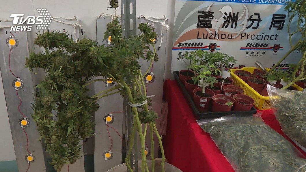 （圖／TVBS資料畫面）
