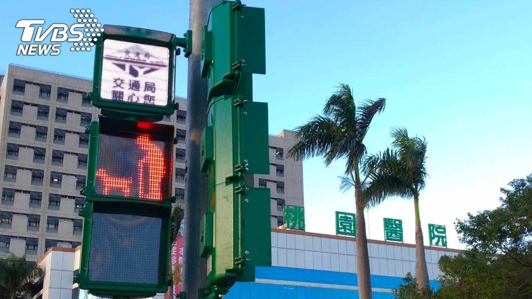（圖／中央社）