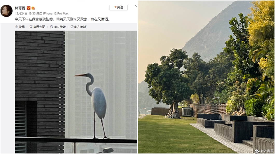 林青霞曬出豪宅後院,網友驚呼買不起。(圖/翻攝自林青霞微博)
