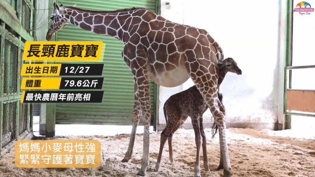 圖／翻攝自台北市動物園