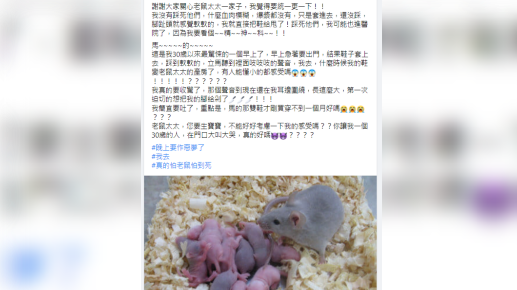 網友在鞋子踩到老鼠。(圖/翻攝自臉書社團「爆怨公社」)