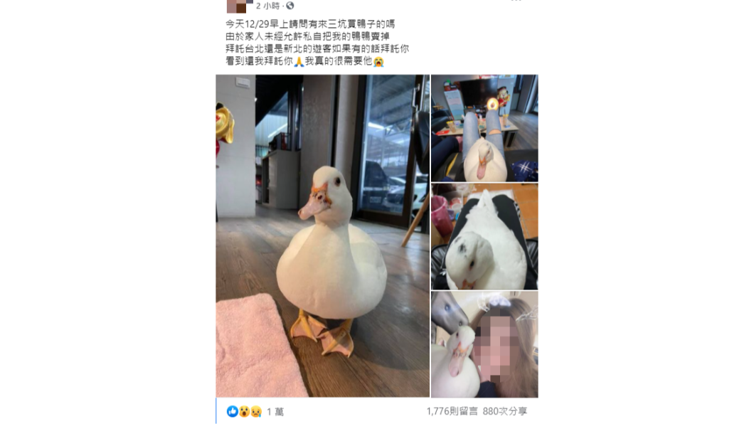 寵物被家人偷賣後，女子趕緊尋人。（圖／翻攝自「爆廢公社公開版」）