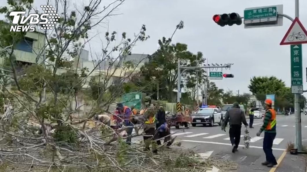 強風如颱吹倒台南路樹。(圖/TVBS)