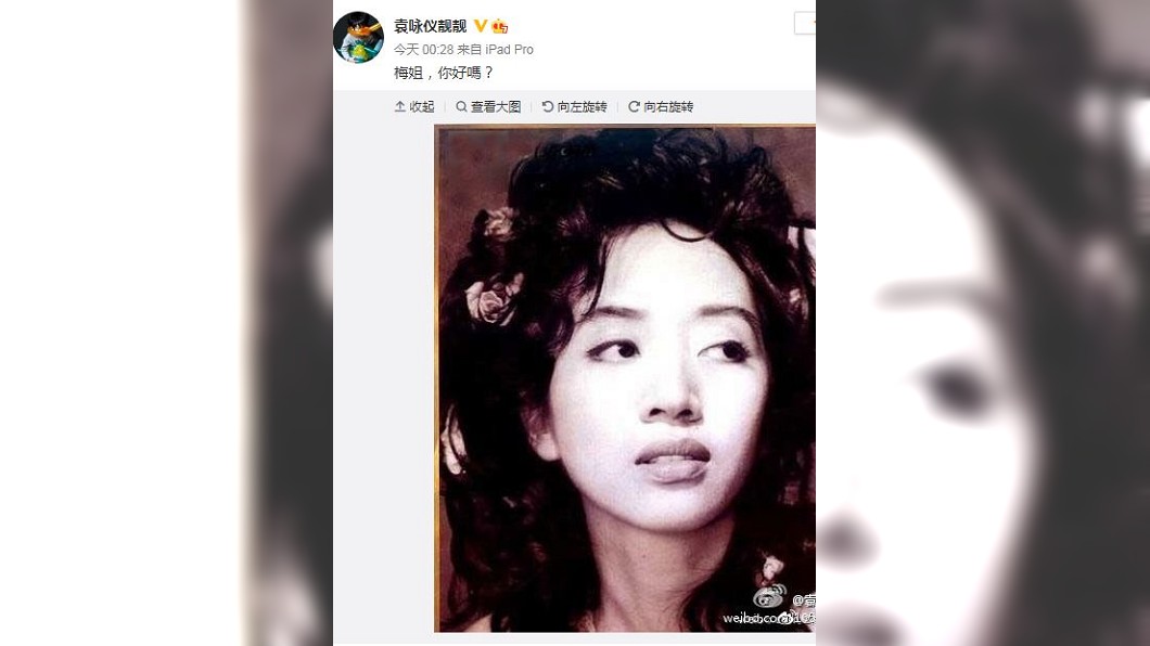今日是梅艷芳過世17年,袁詠儀在微博發文悼念。(圖/翻攝自微博)