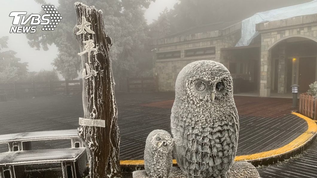 太平山國家森林遊樂區山林結滿霧淞。(圖/中央社)