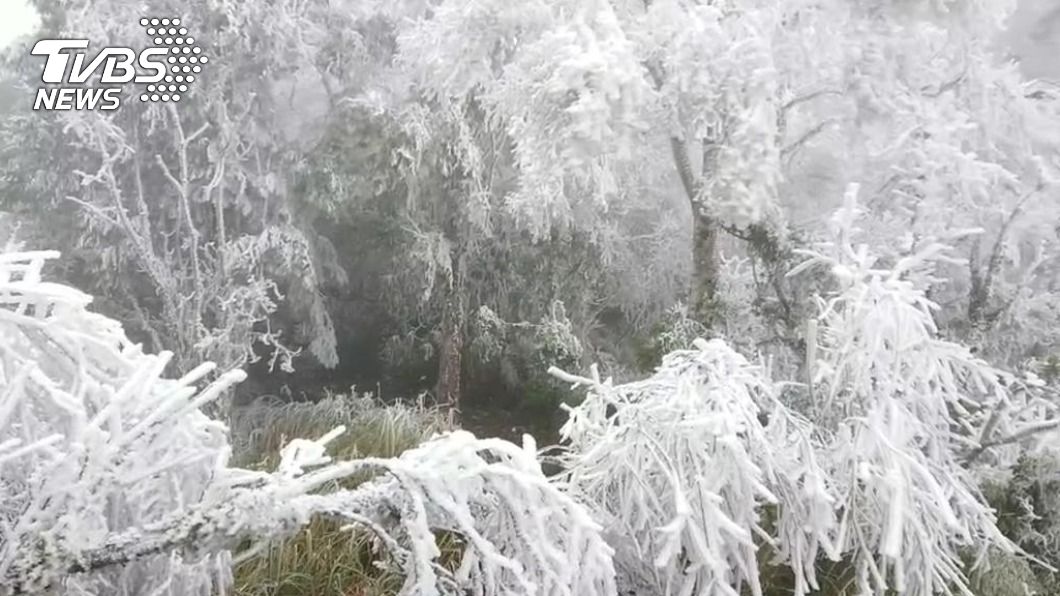 快訊／2021第一場雪　太平山山毛櫸步道飄雪
