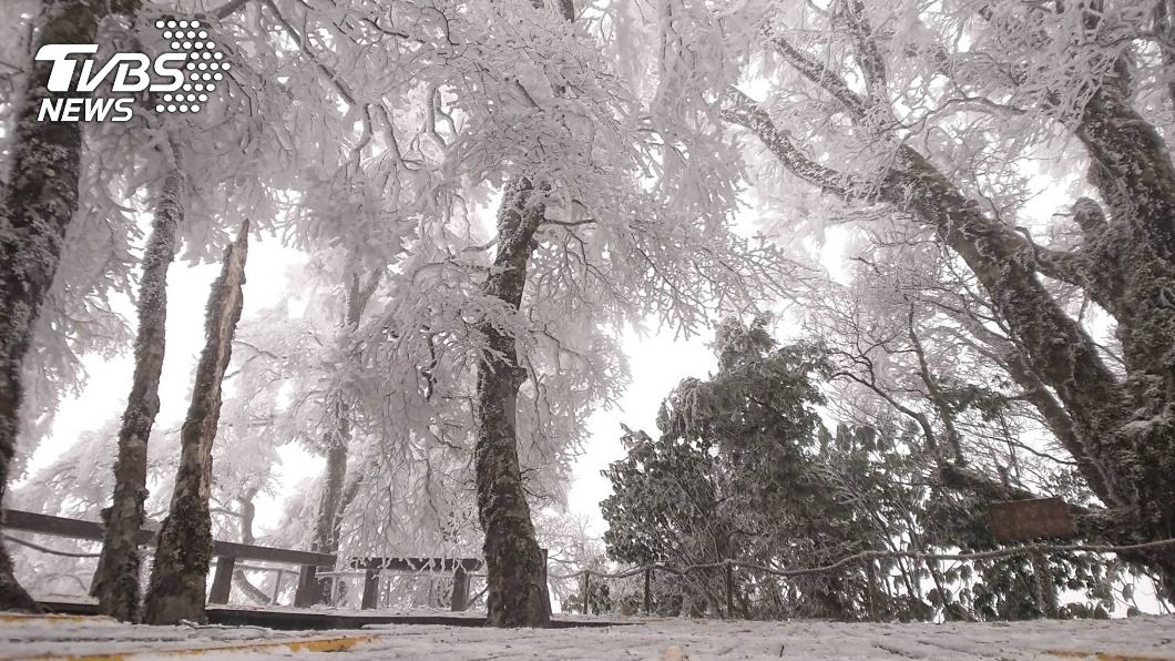超美!太平山降2021第一場雪 啟動車輛管制