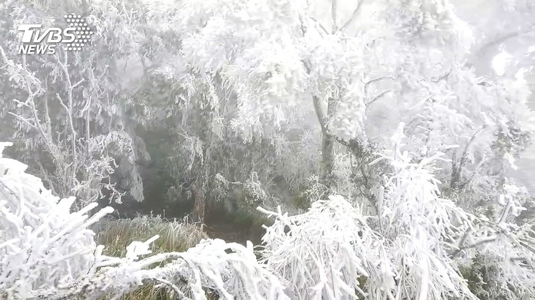 2021初降雪! 「太平山」變身「夢幻白森林」