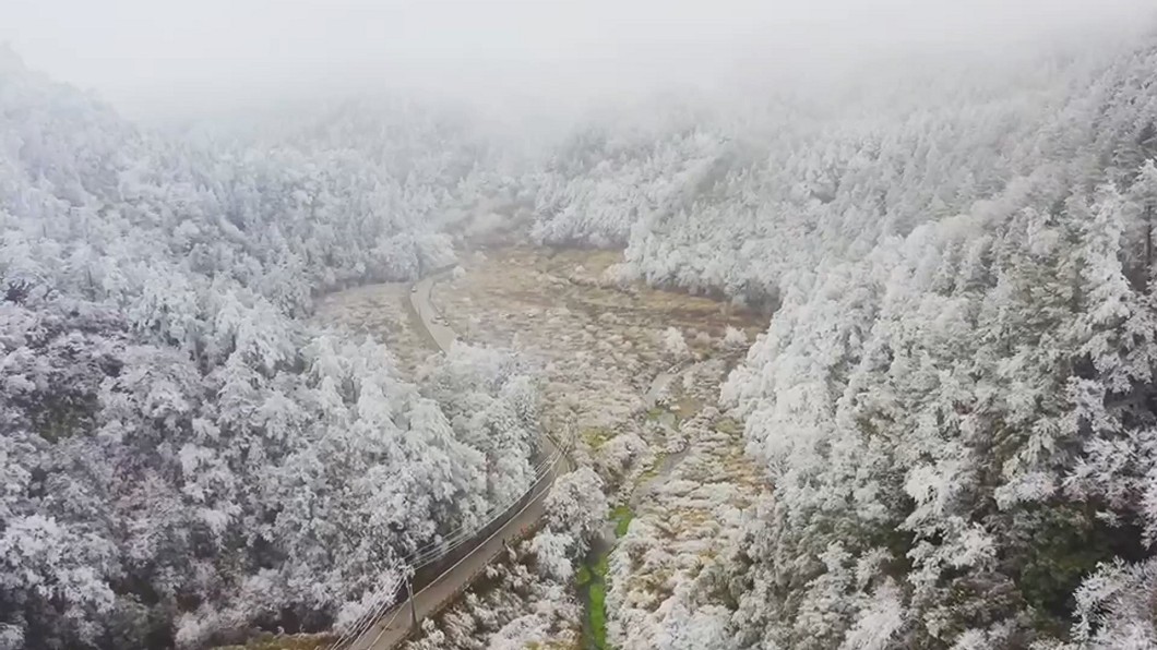 圖／沈張鴻提供