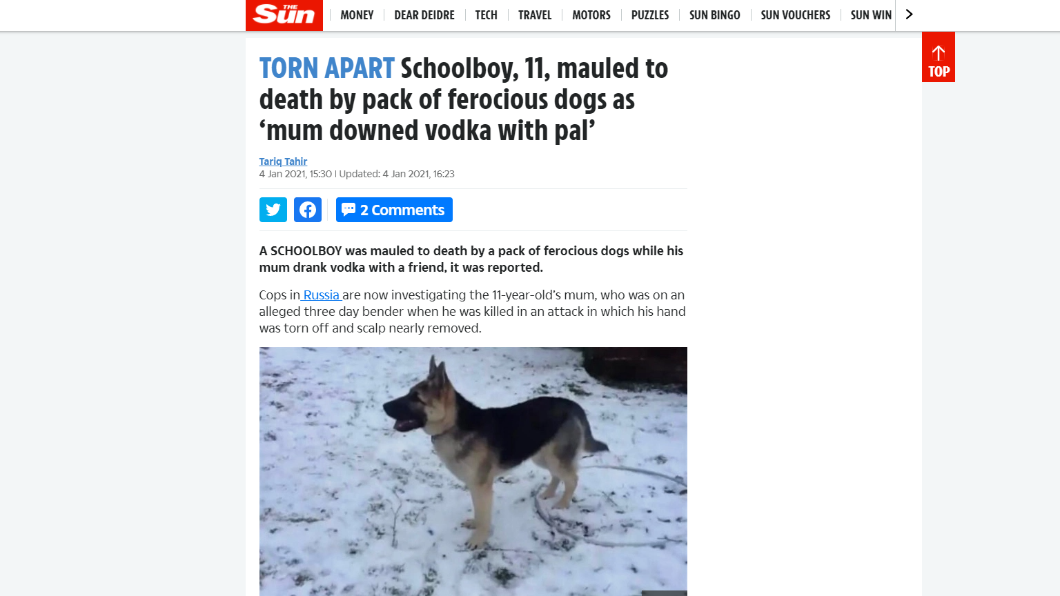 警方隨後也將咬人的惡犬們抓住。(圖/翻攝自太陽報)