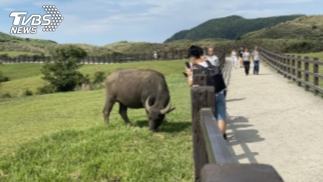 陽管處圍籬獲得「第20屆公共工程金質獎」。(圖/陽管處提供)