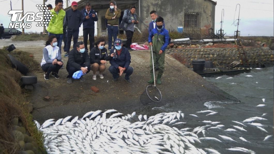 寒流農損高達2400萬元 虱目魚凍斃占大宗