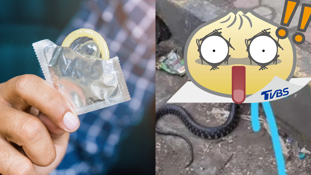 「用過保險套」罩蛇頭！無辜慘扭路邊掙扎難呼吸