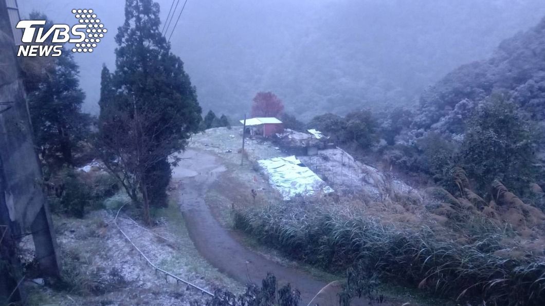 寒流來襲拉拉山凌晨一度降雪 巨木區披上白霜