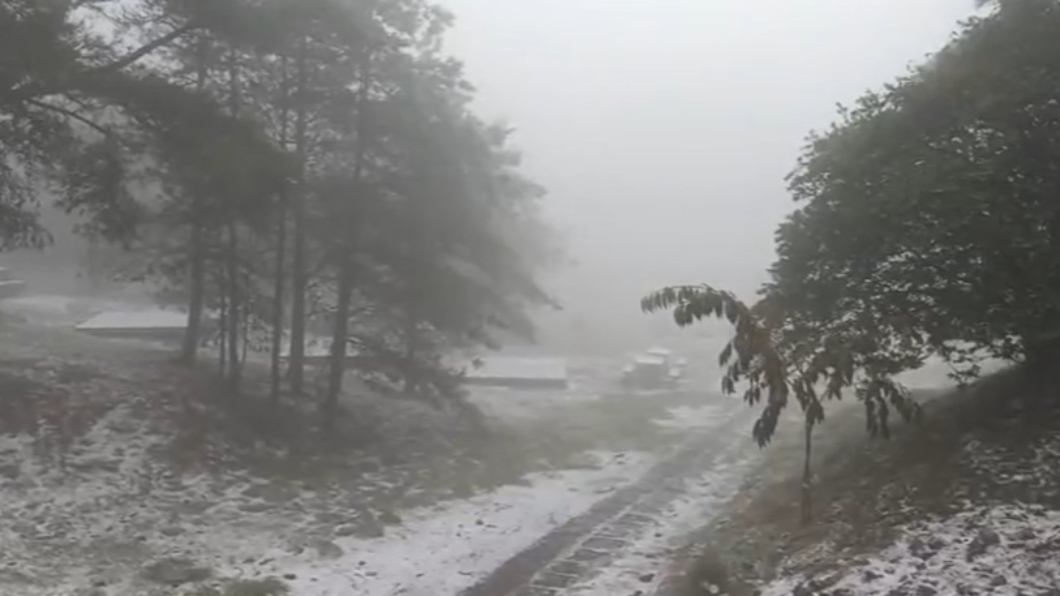 太美了!海拔2574公尺福壽山農場凌晨降雪