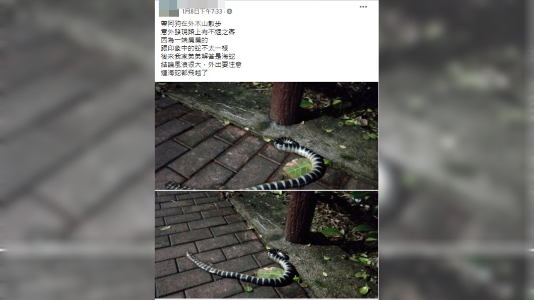 (圖/翻攝自基隆人臉書)