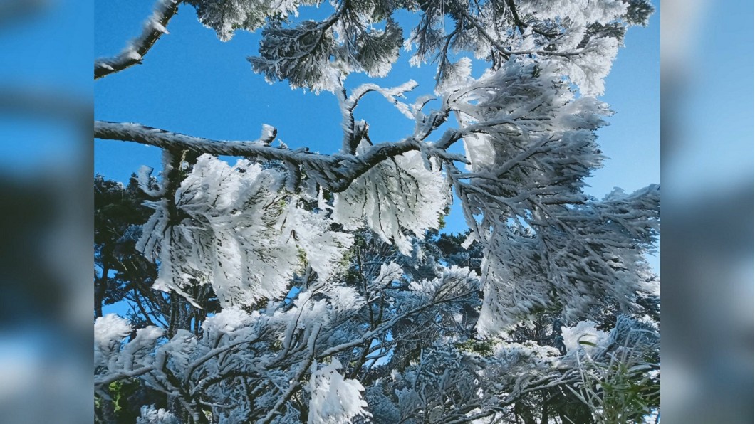 圖/當地山莊莊主吳德發提供