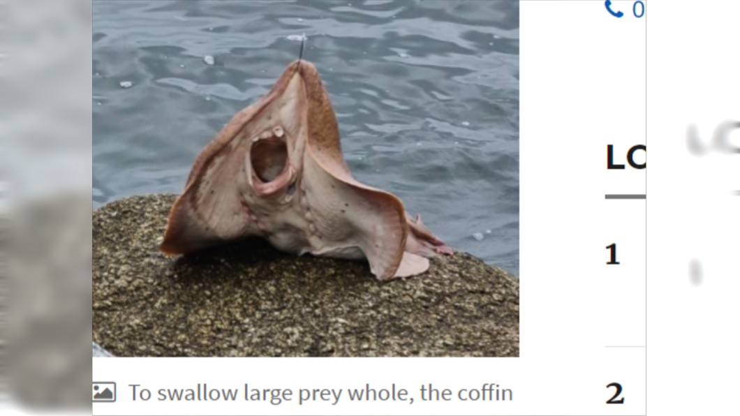 (圖/翻攝自《Guardian News》)