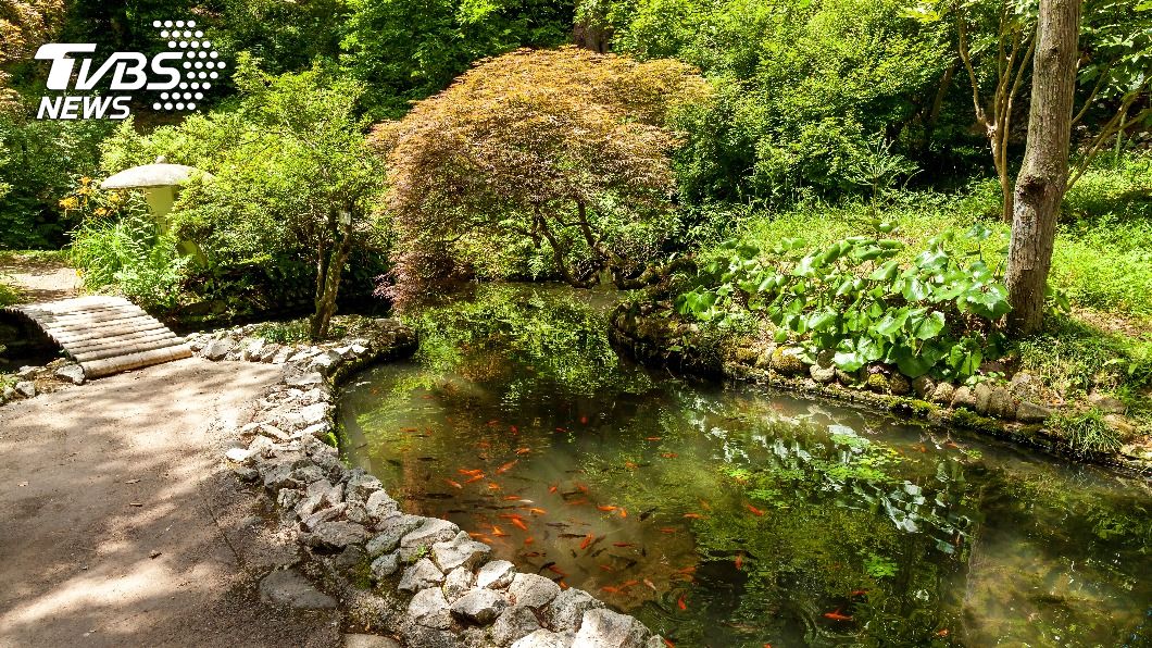 女童失蹤2日，最後被發現陳屍池塘。（示意圖，與本文當事人無關／shutterstock達志影像）