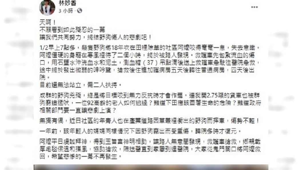 (圖/翻攝自林妙香臉書)
