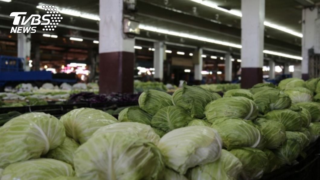 荷包減!台人天冷愛嗑鍋 高麗菜、茼蒿菜價狂飆