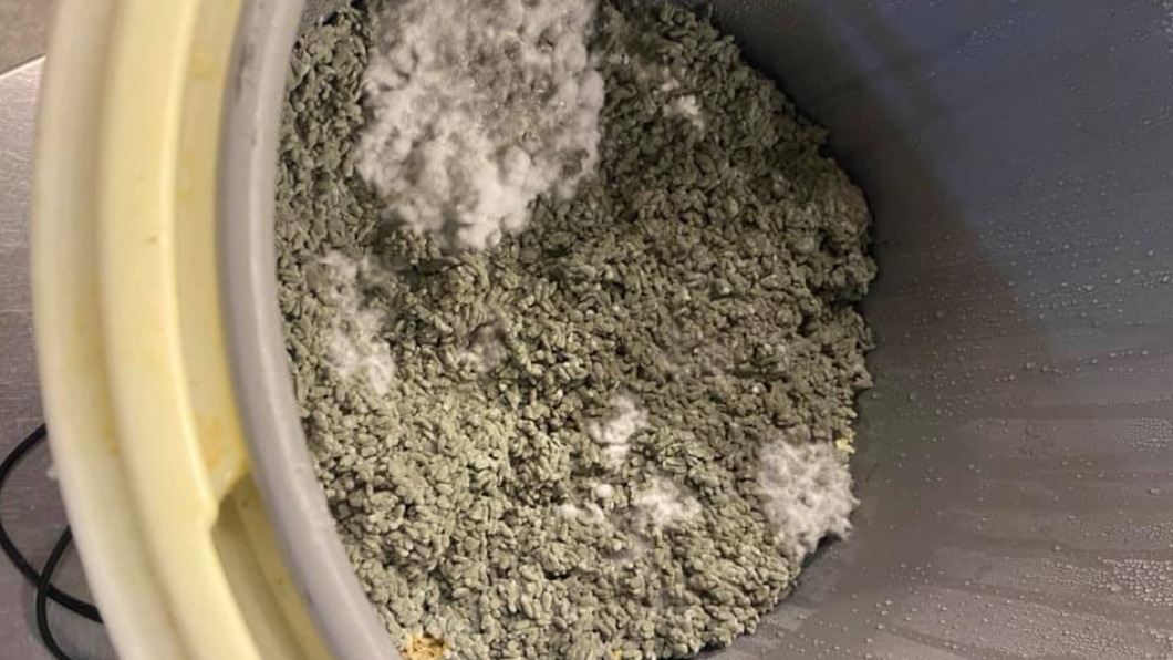 新功能?電鍋「魔法拌飯」 男掀蓋見法式藍紋料理