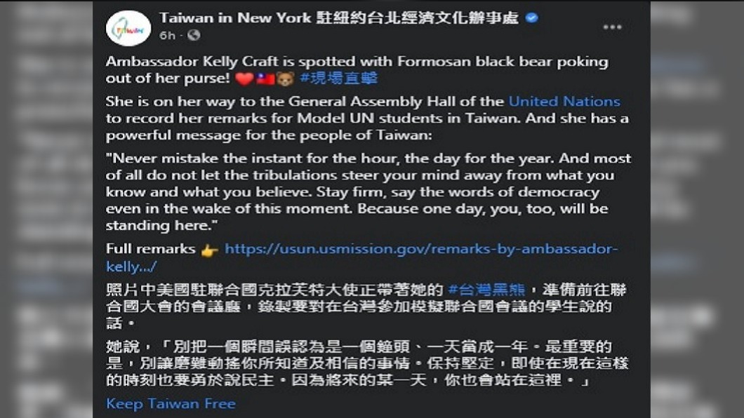 (圖/翻攝自駐紐約辦事處臉書)